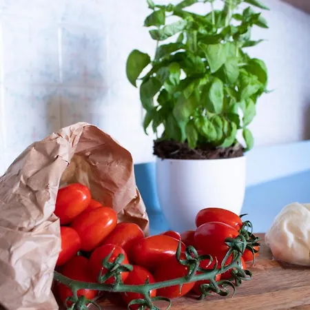 아파트 Casa Derosa In Centro 소렌토